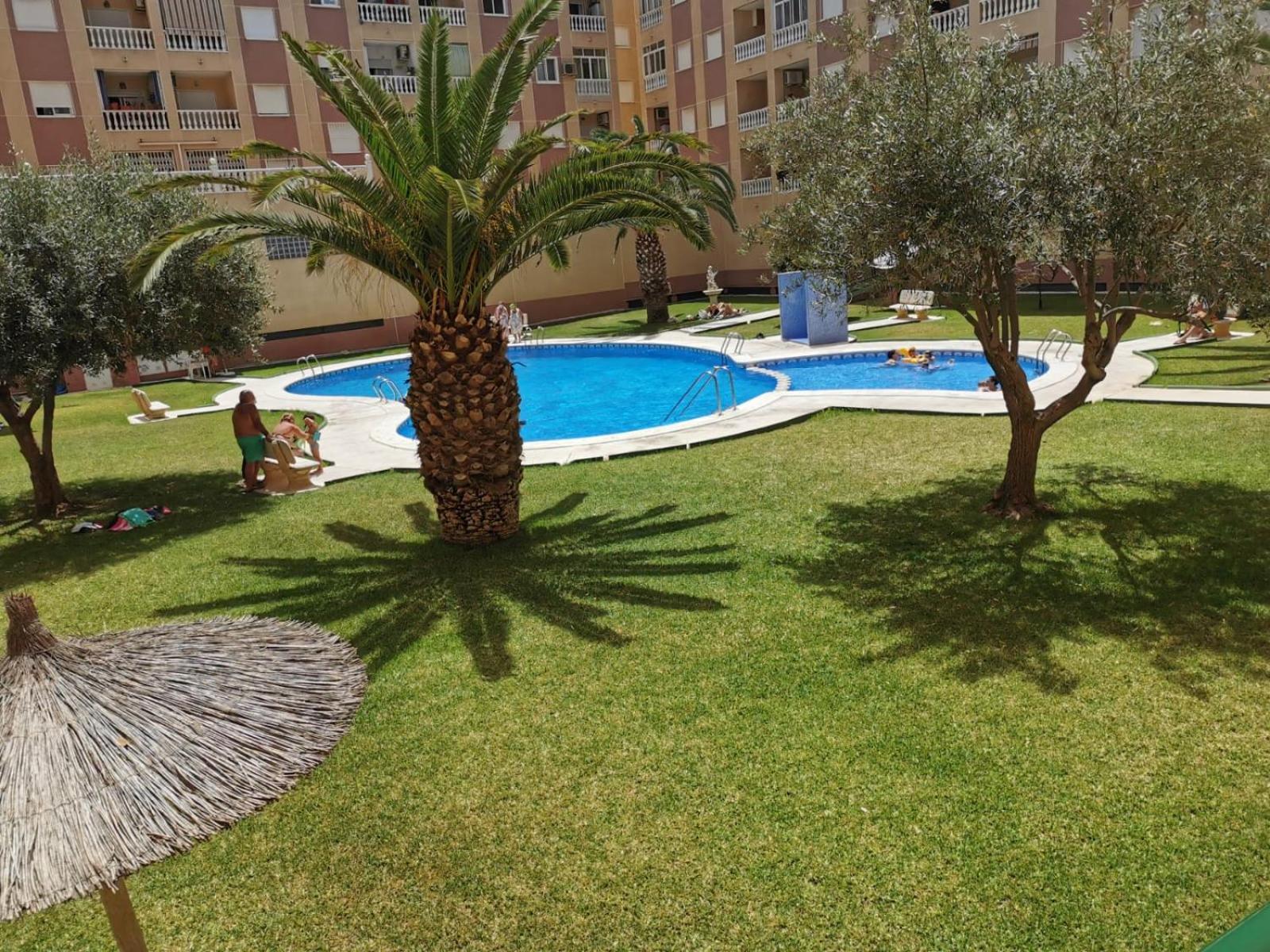 Charming Apartment Torrevieja Extérieur photo